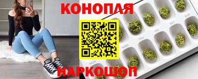 дживик Ирбит