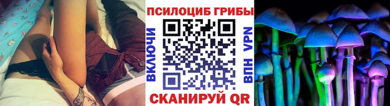 купить наркоту  MEGA как войти  Галлюциногенные грибы мицелий  Ноябрьск 