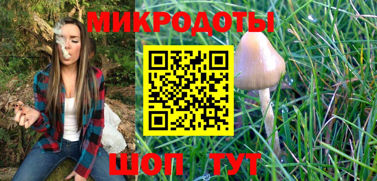 Псилоцибиновые грибы мухоморы  наркошоп  Ноябрьск  Вход с VPN 