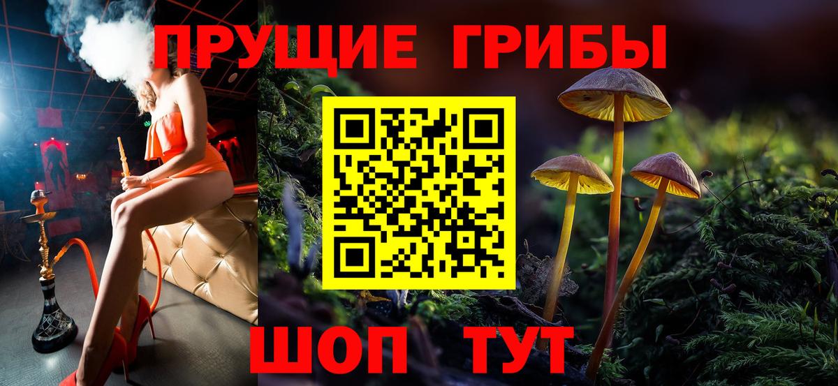 Псилоцибиновые грибы ЛСД Ноябрьск