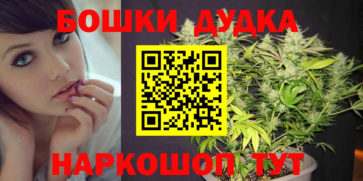 Бошки марихуана конопля Ноябрьск